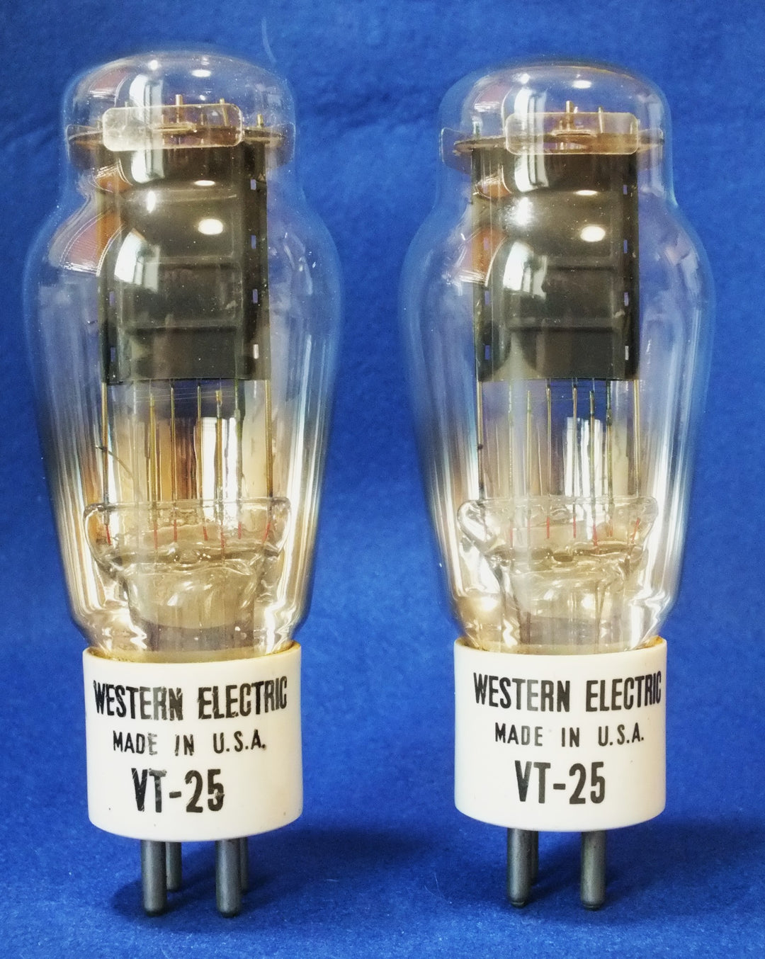 Western Electric WEVT-25 白タイトベース 人気パワー管　